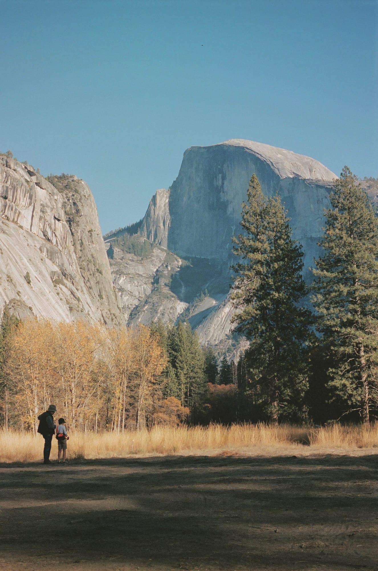 Half Dome rising over an autumn meadow in Yosemite Valley, shot on 35mm film