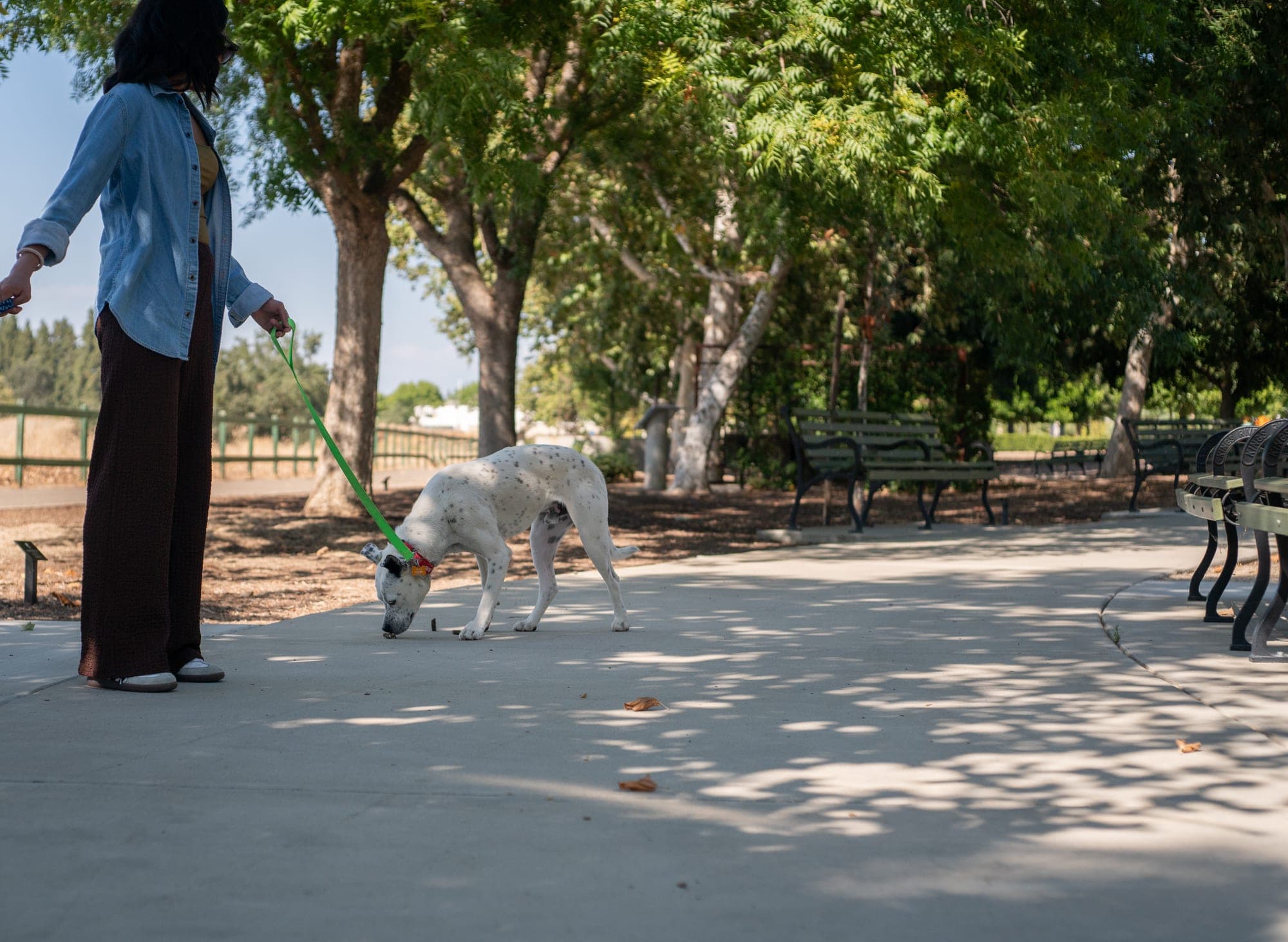 Pet photography session in Fresno, CA by Joe Hughes