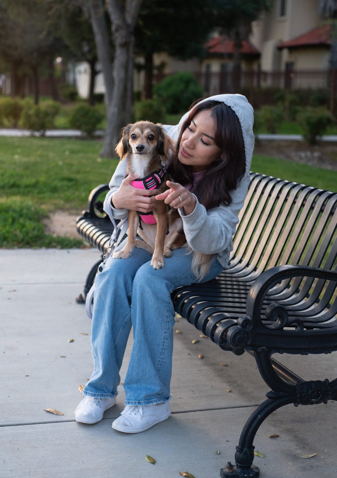 Woman on a park bench cradling her small rescue dog in a pink harness at dusk